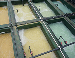 氮磷廢水處理工程